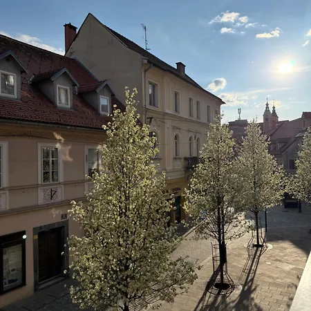 Viti Апартаменты Любляна